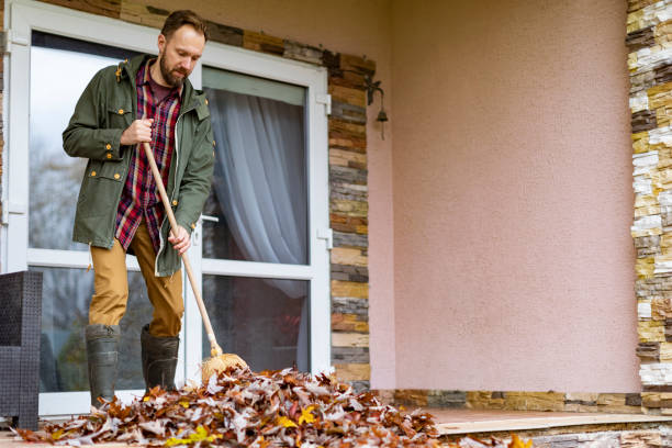 Yard Cleanup Services in Myrtle Creek, OR